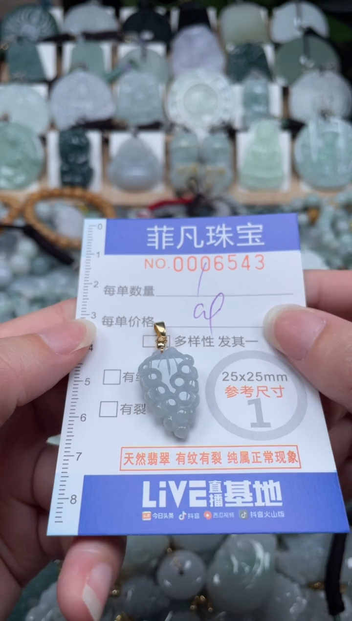 翡翠未镶嵌颈饰00..6543