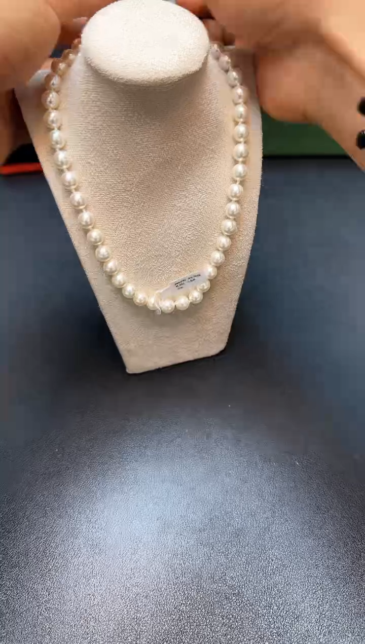 瓷片全新正品一件不留@@WE384