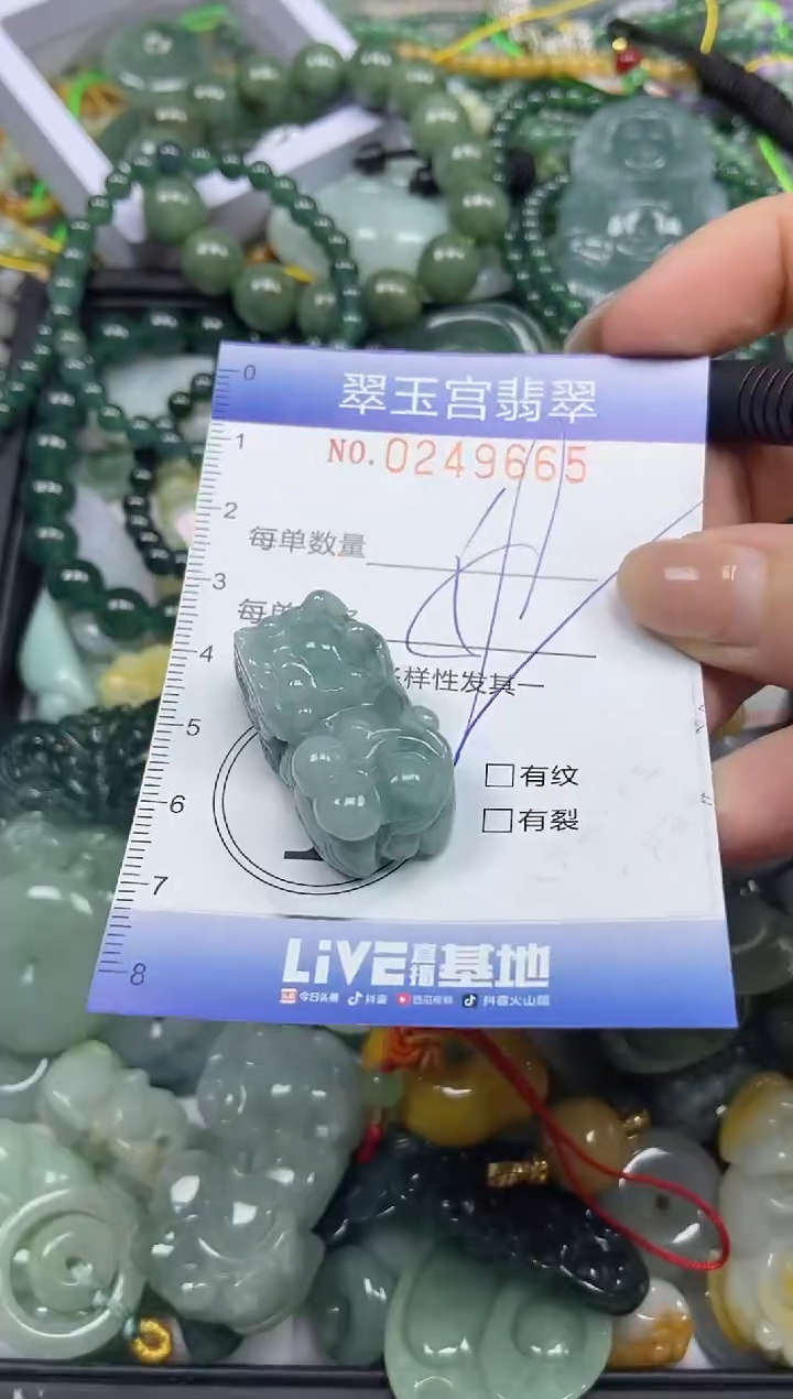 颈饰未镶嵌翡翠闪购C0249665