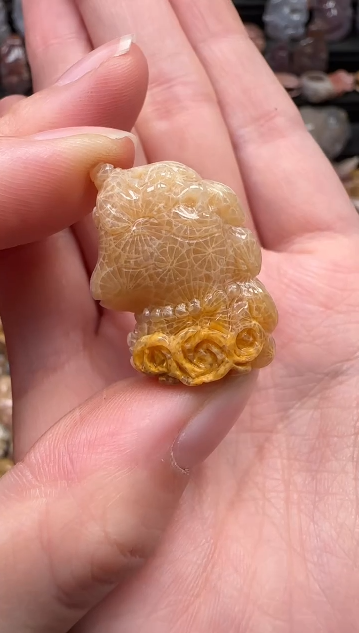 颈饰未镶嵌硅化珊瑚（珊瑚玉）193