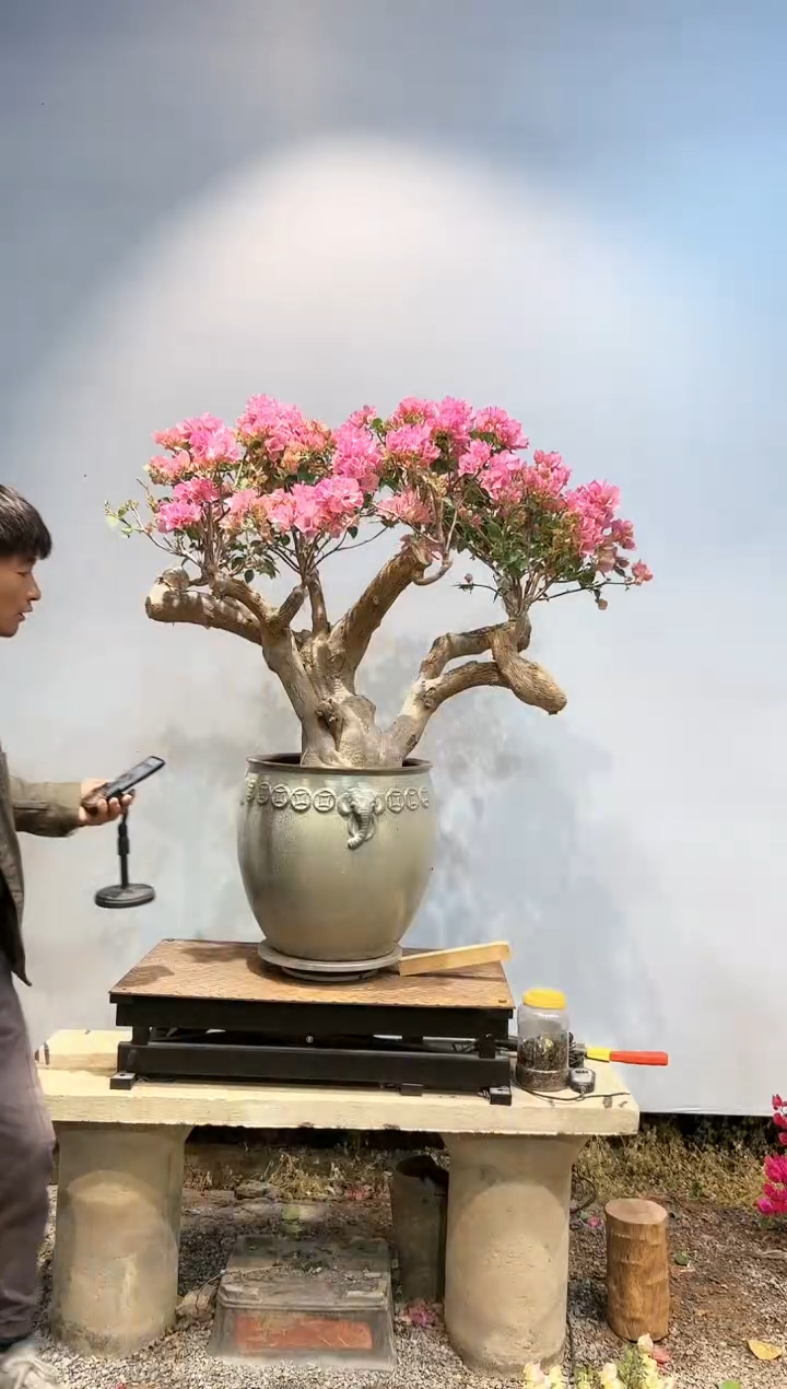 【闪购商品】aa944