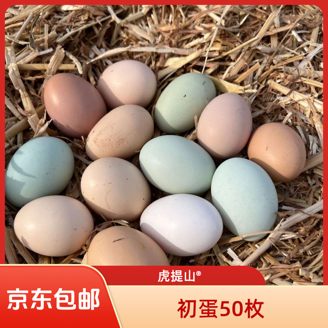 虎提山农场农村农家开窝蛋土鸡蛋初生蛋50枚散养鸡蛋散养土鸡蛋