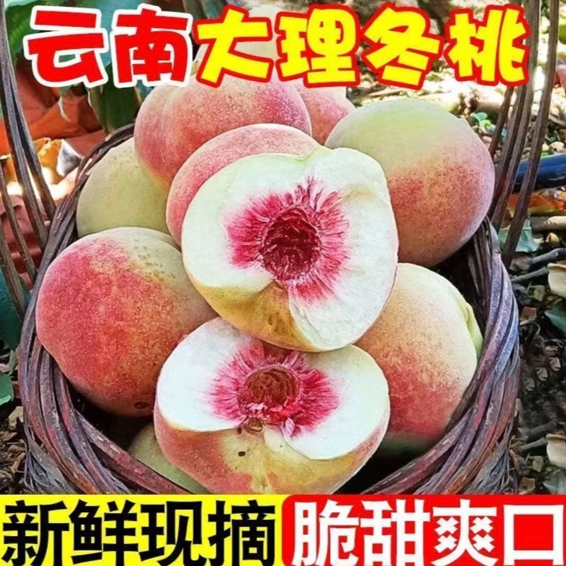 云南大理冬桃现摘脆甜离核雪蜜桃新鲜水果整箱包邮小冬桃