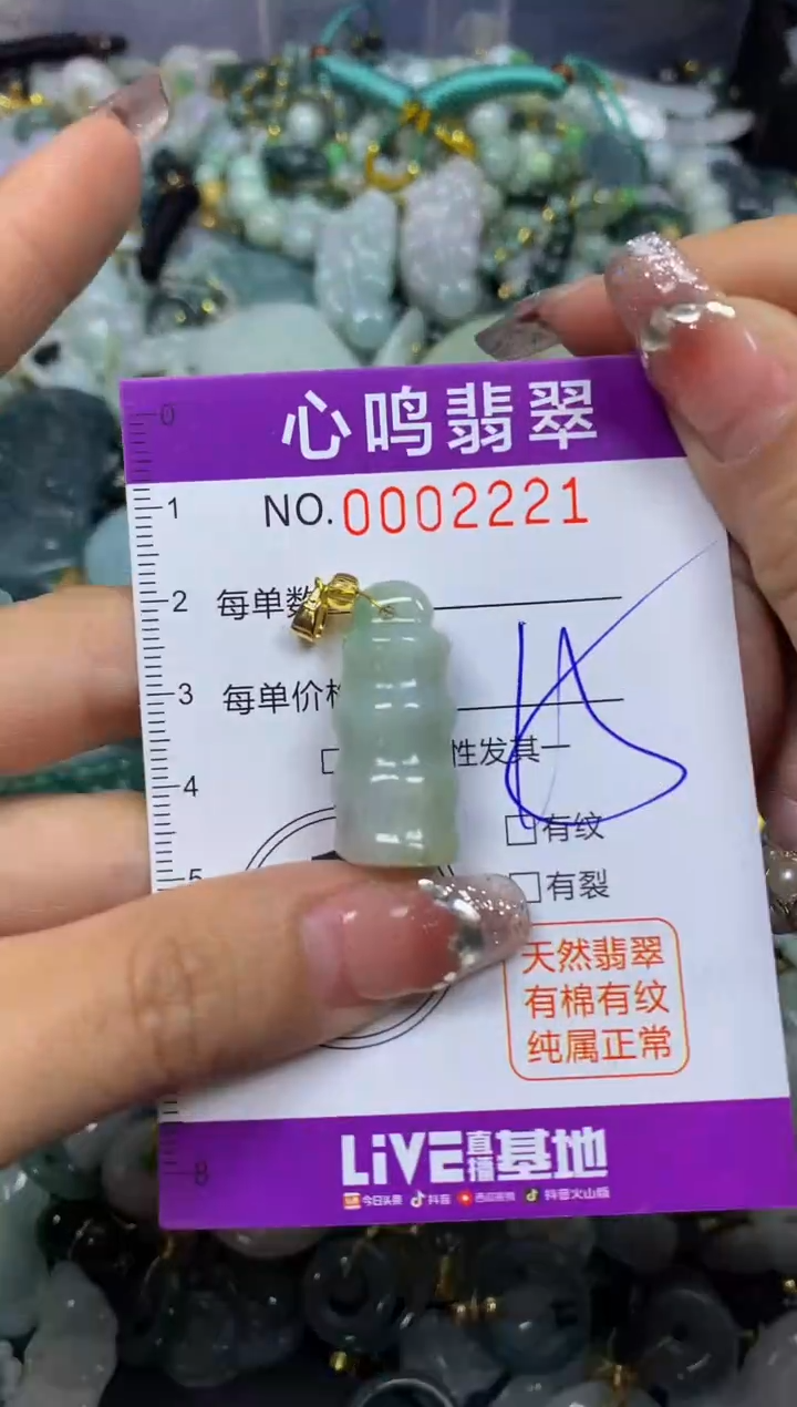 【闪购商品】翡翠颈饰未镶嵌闪购002221