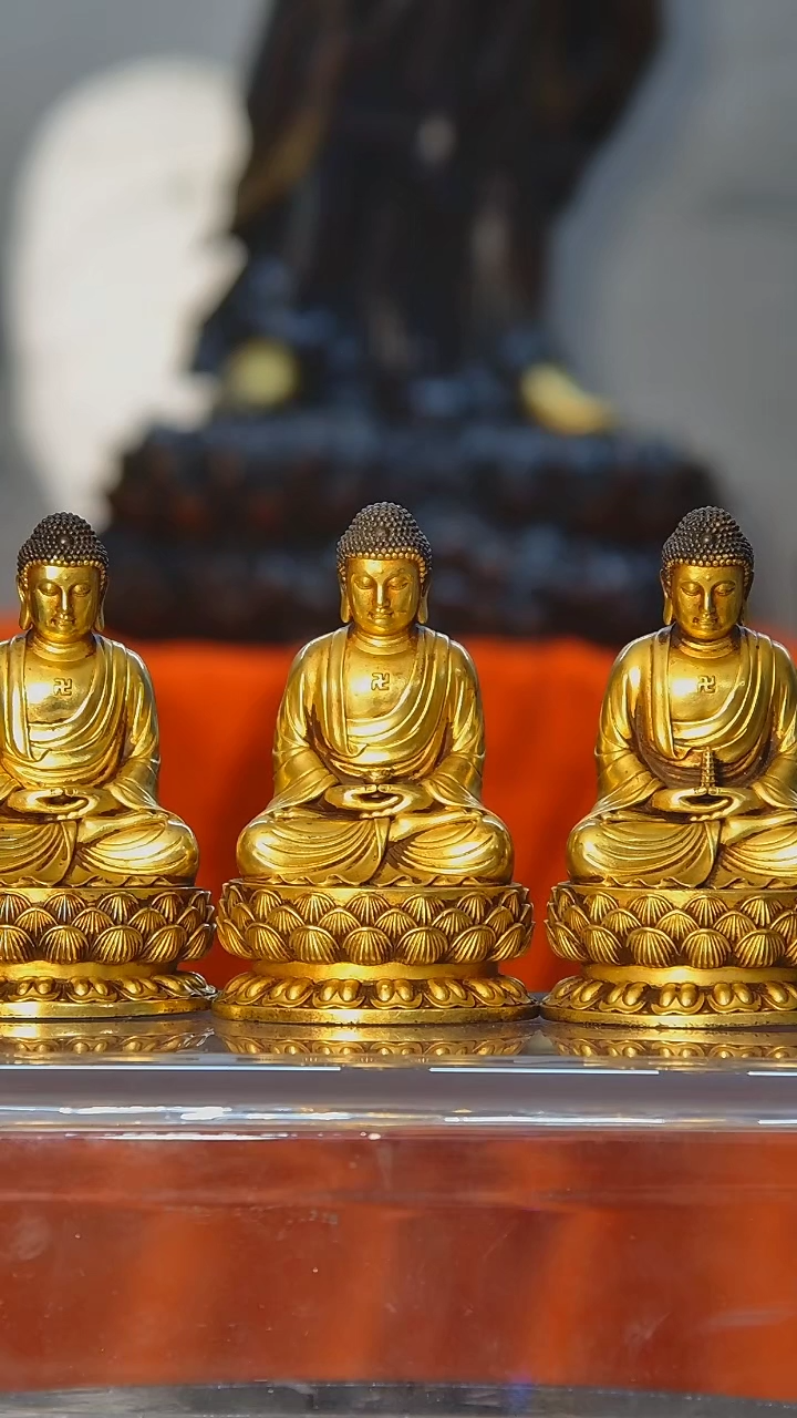 【闪购商品】佛佛佛佛佛佛佛佛佛佛佛佛佛佛佛