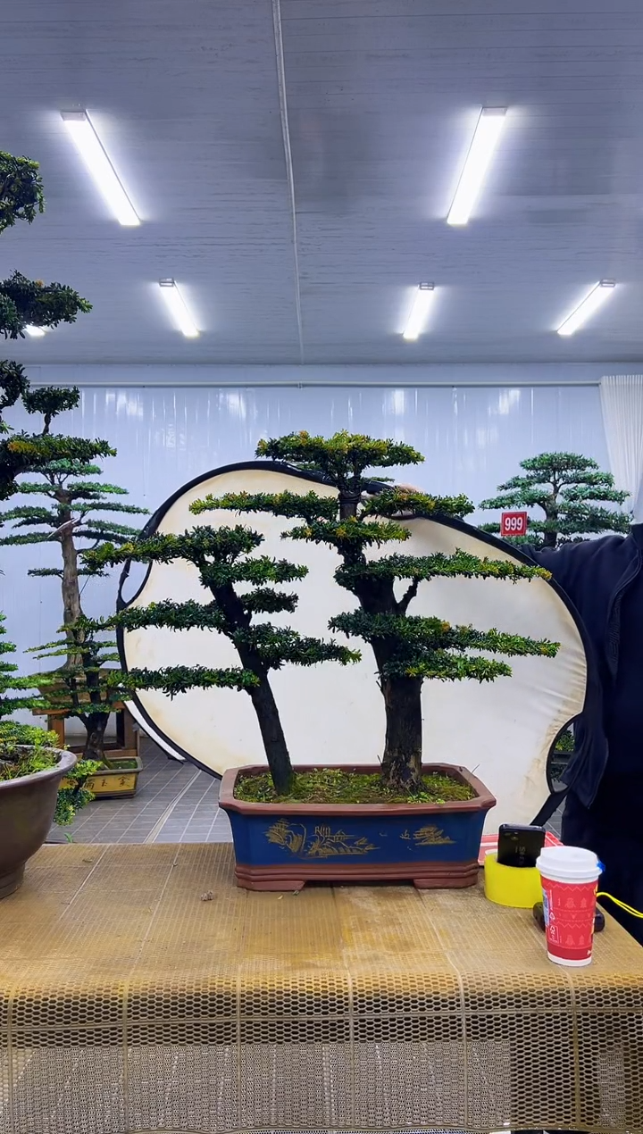 无花朵杰**?00000000000000000