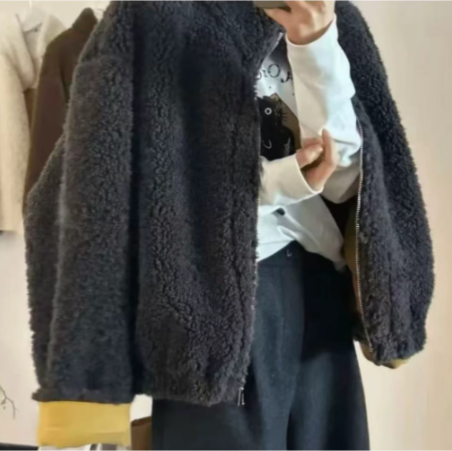 韩系立领仿羊羔毛皮毛一体短款外套女2025秋冬新宽松现廋减龄上衣