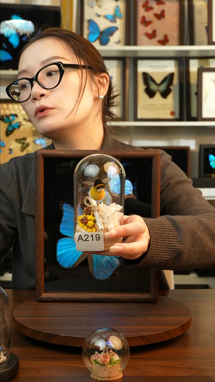 熊蜂造景-玻璃罩款A219