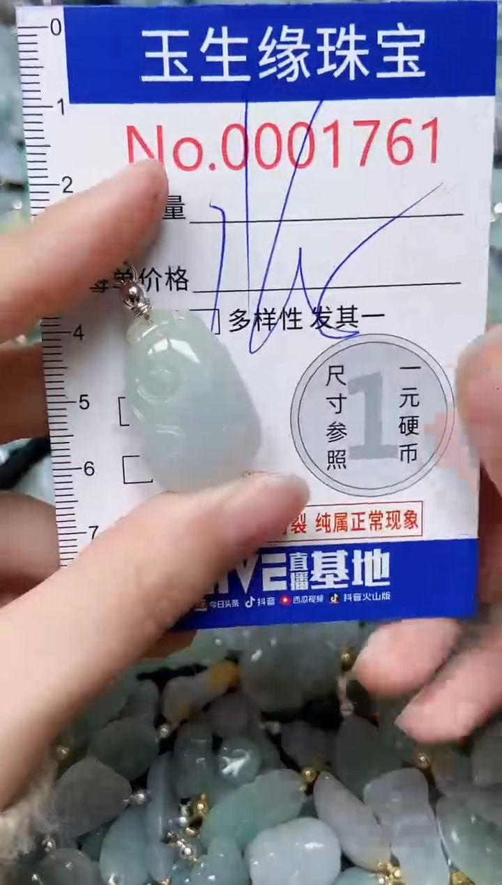 【闪购商品】翡翠颈饰未镶嵌闪购00001761