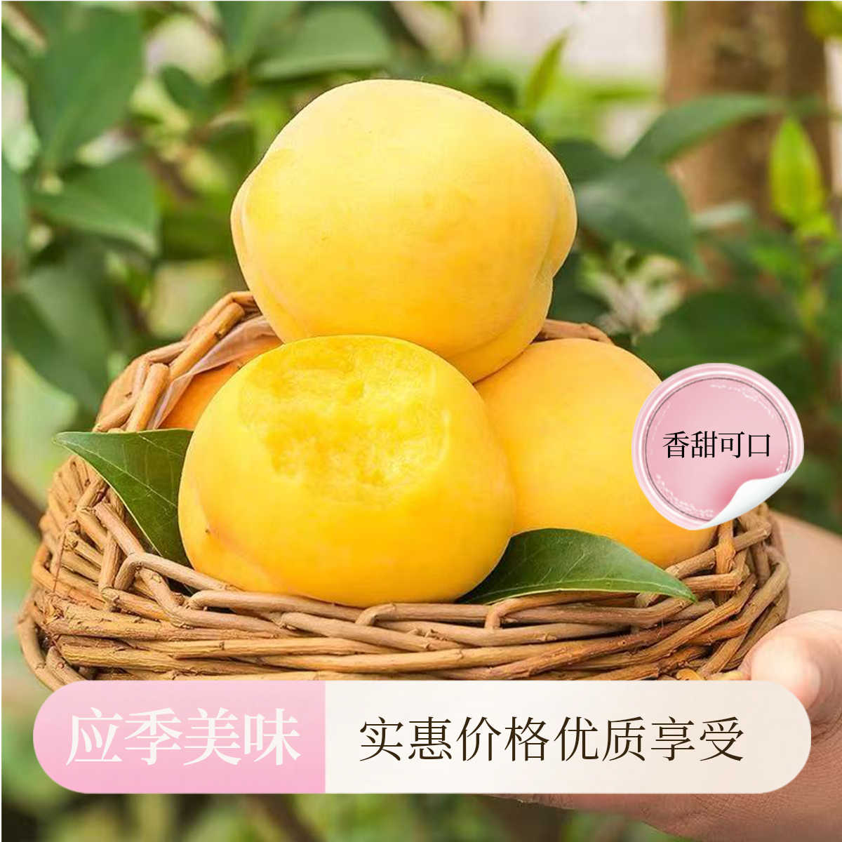 泗阳黄桃新鲜现采现摘脆甜多汁脆软两吃时令水果