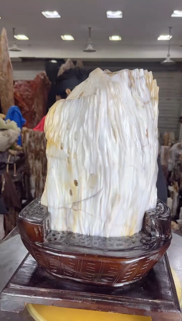 【闪购商品】硅化玉珠宝奇石未镶嵌缅甸天然树化玉