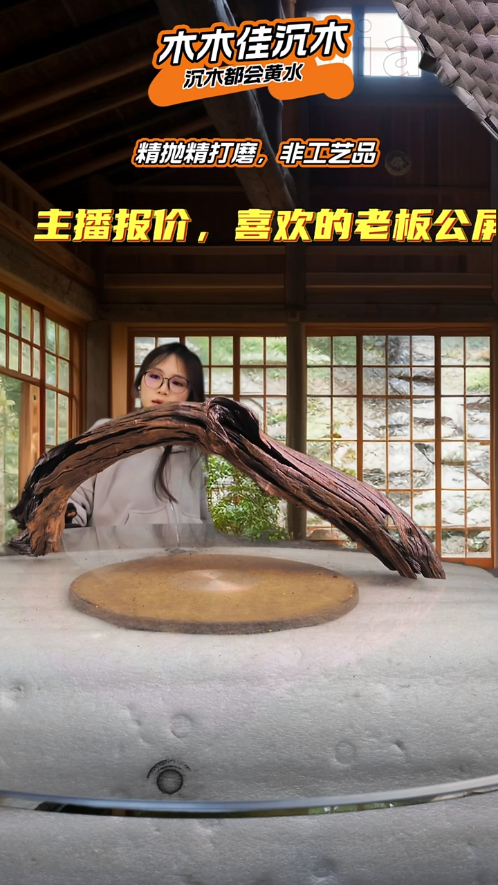 ?****?木木佳沉木鱼缸造景-855