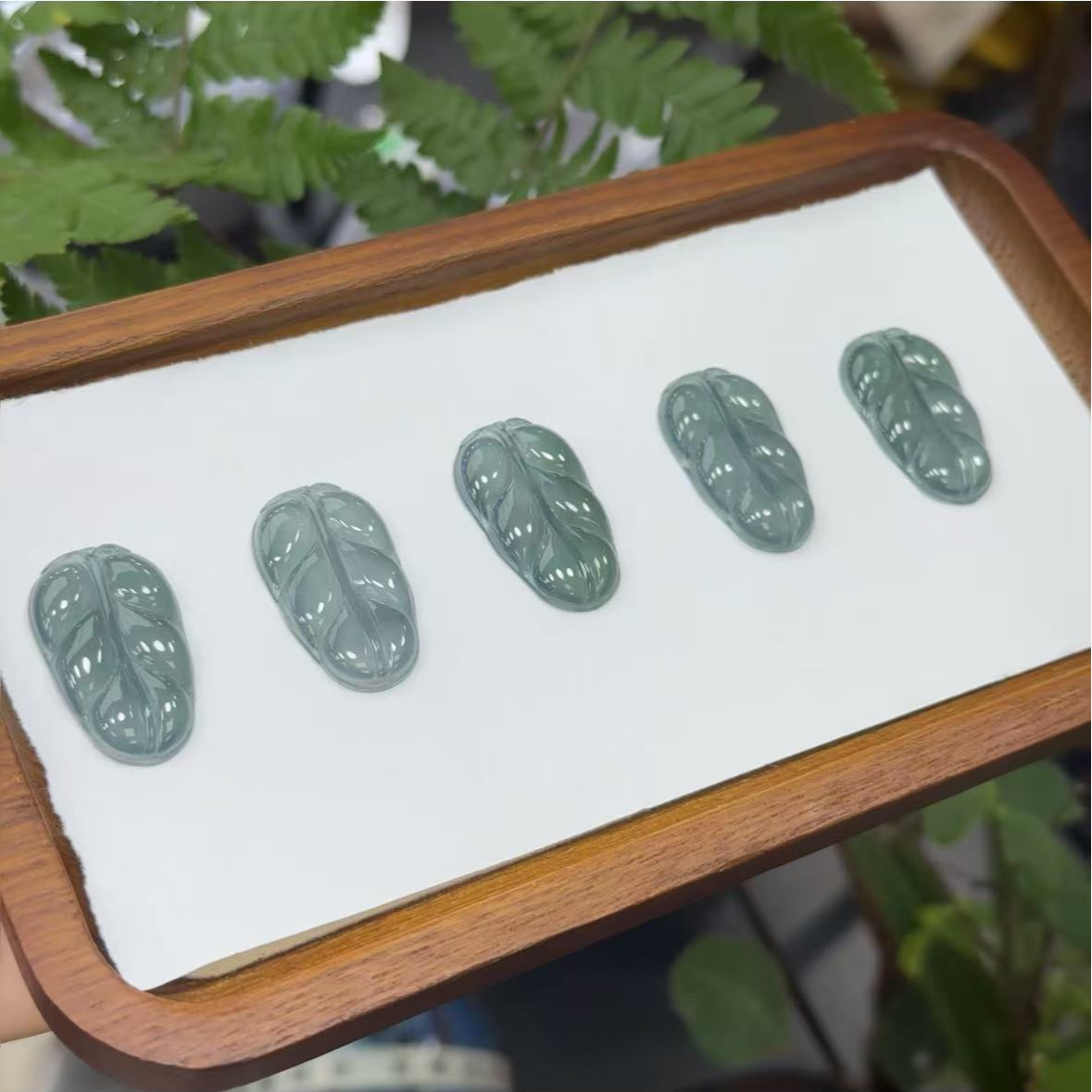 翡翠叶子多样性发1件QZG240828-3/DO