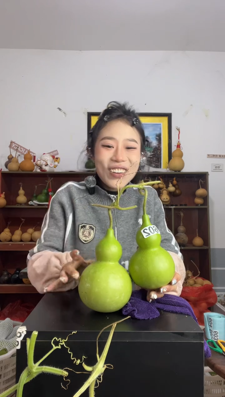 天***播602天然葫芦摆件 一物一拍龙头不保售后连枝