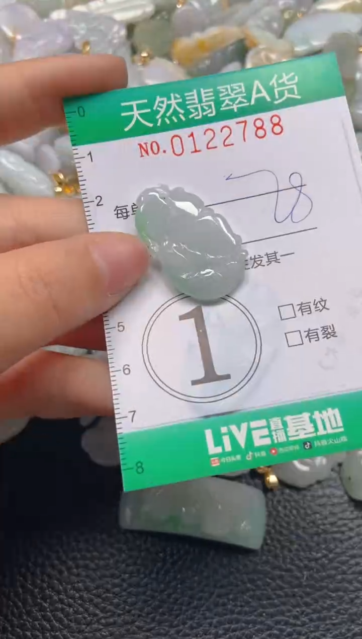 翡翠未镶嵌颈饰闪购0122788
