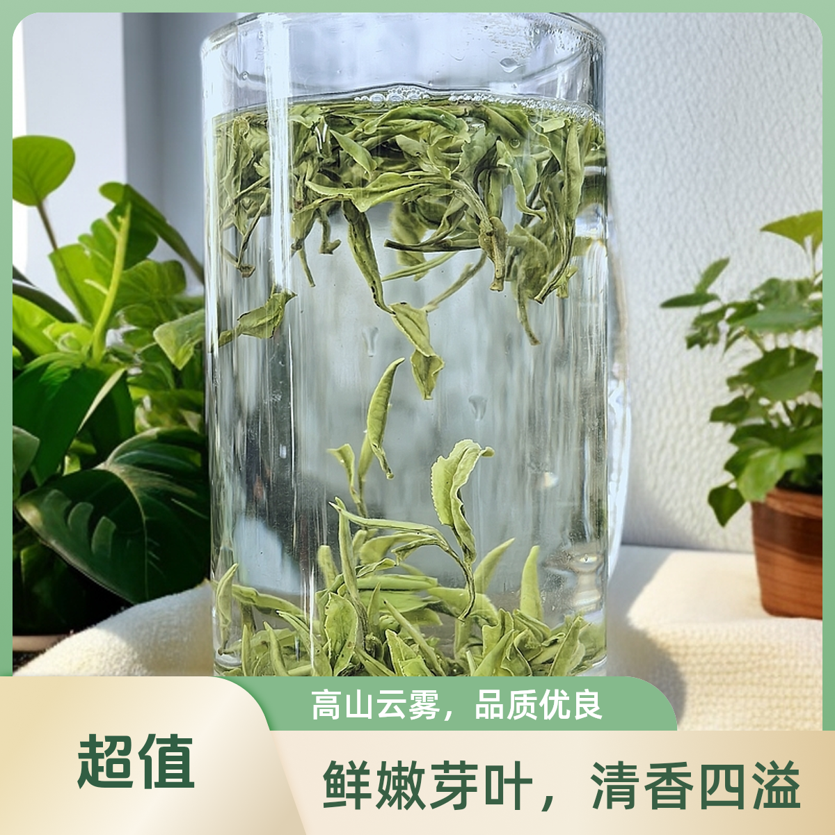 2025年新茶黄山毛峰高山土种纯手工揉捻更浓香耐泡