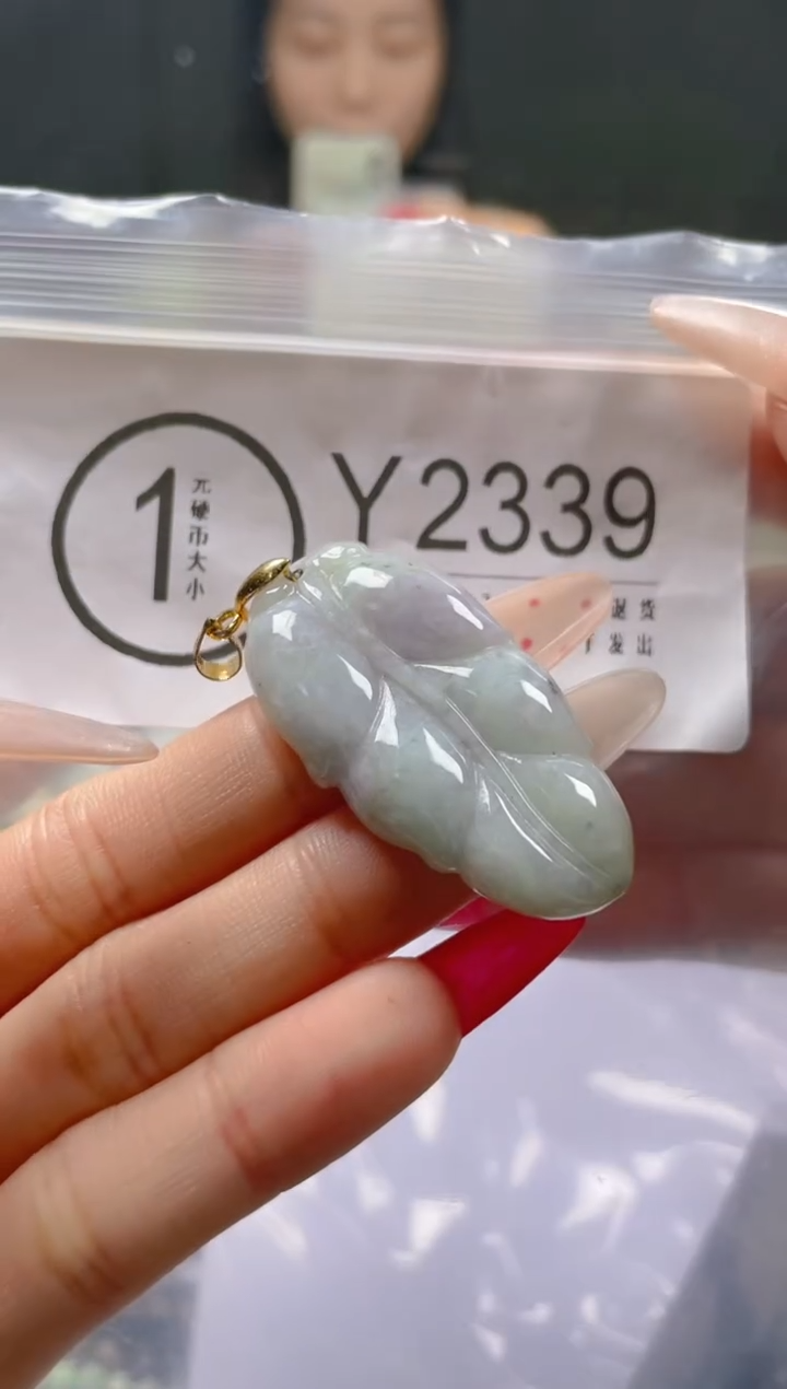 【闪购商品】翡翠颈饰未镶嵌/Y/翡翠A货一图一物