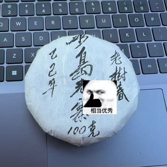 茂伦达 临门分享 2025年冰岛生茶饼100克