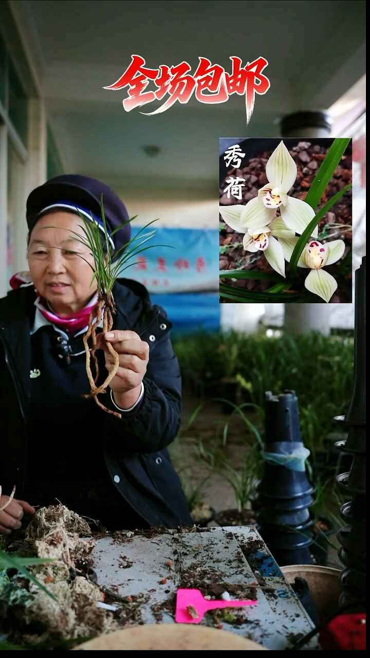 当前无花栽培后可以开花秀荷