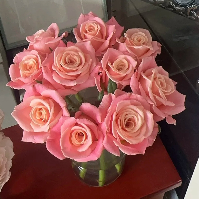 【朱小姐玫瑰20支】云南鲜花 全店任意两件包邮送货上门