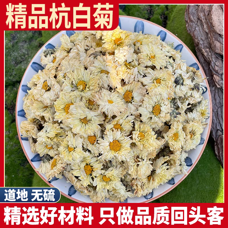 杭白菊花当季新货 白菊花胎菊花精选无硫100克-500克干货