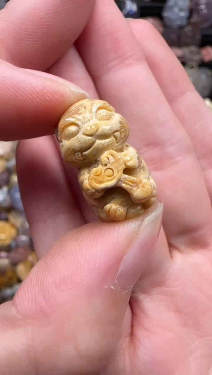 颈饰未镶嵌硅化珊瑚（珊瑚玉）507