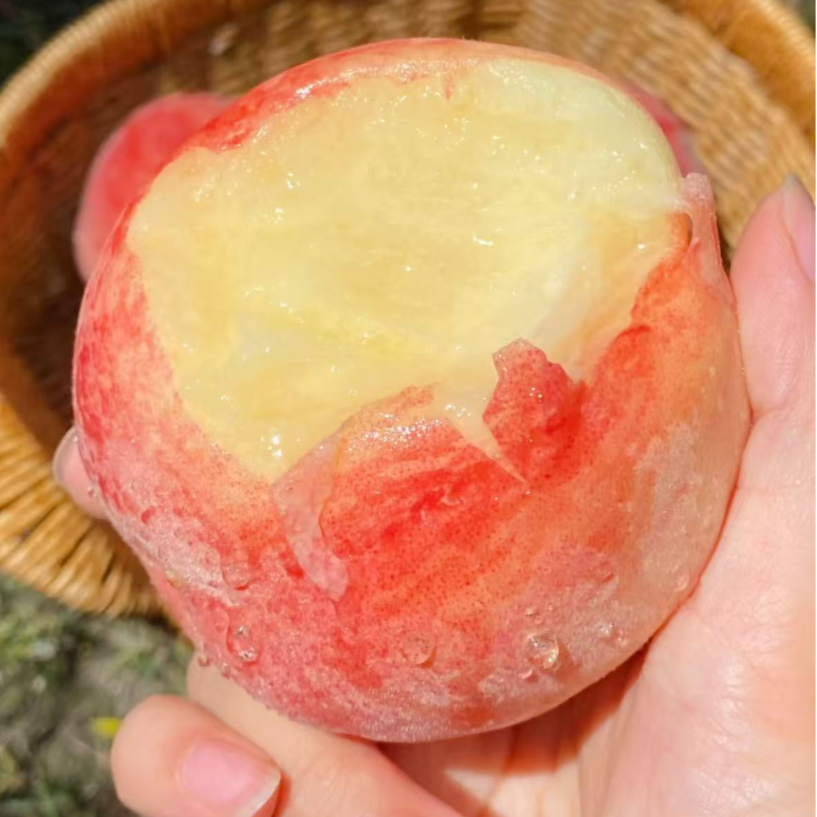 【满仓农场】青蜜1号水蜜桃（桃香浓郁） 1/3/5斤（±2两）不甜包赔顺丰包邮桃子同城送河北省