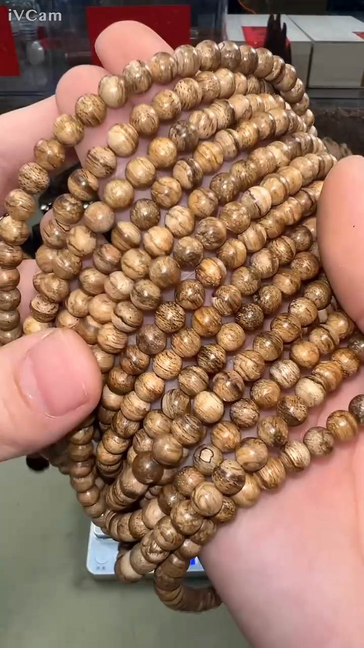 加里曼丹6mm念珠多样性发其一