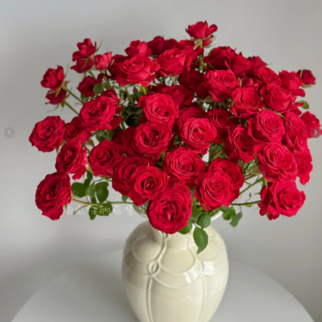 【全疆京东包邮】优雅公主多头泡泡玫瑰10枝