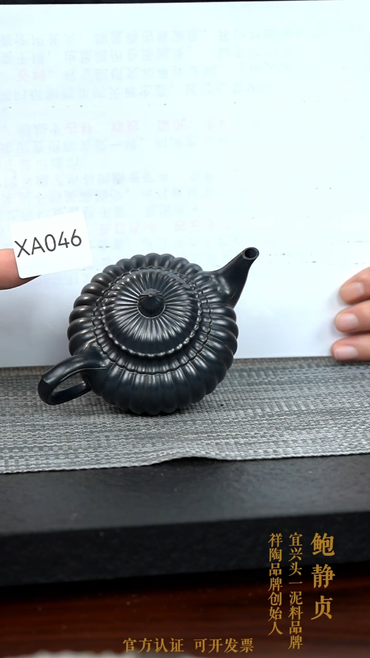 【闪购商品】紫砂茶壶XA046-0125ZJB