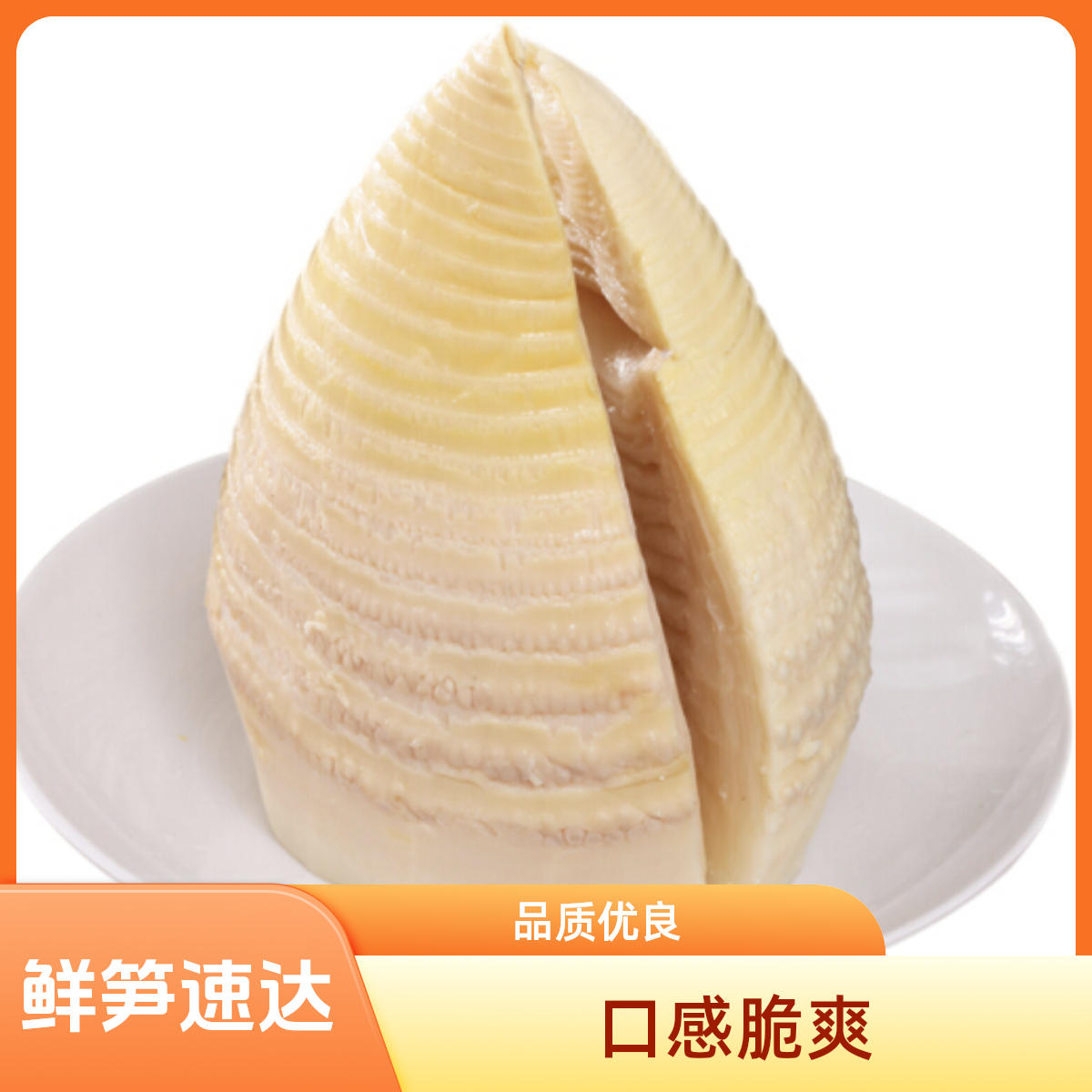 冬笋500g±20g/份