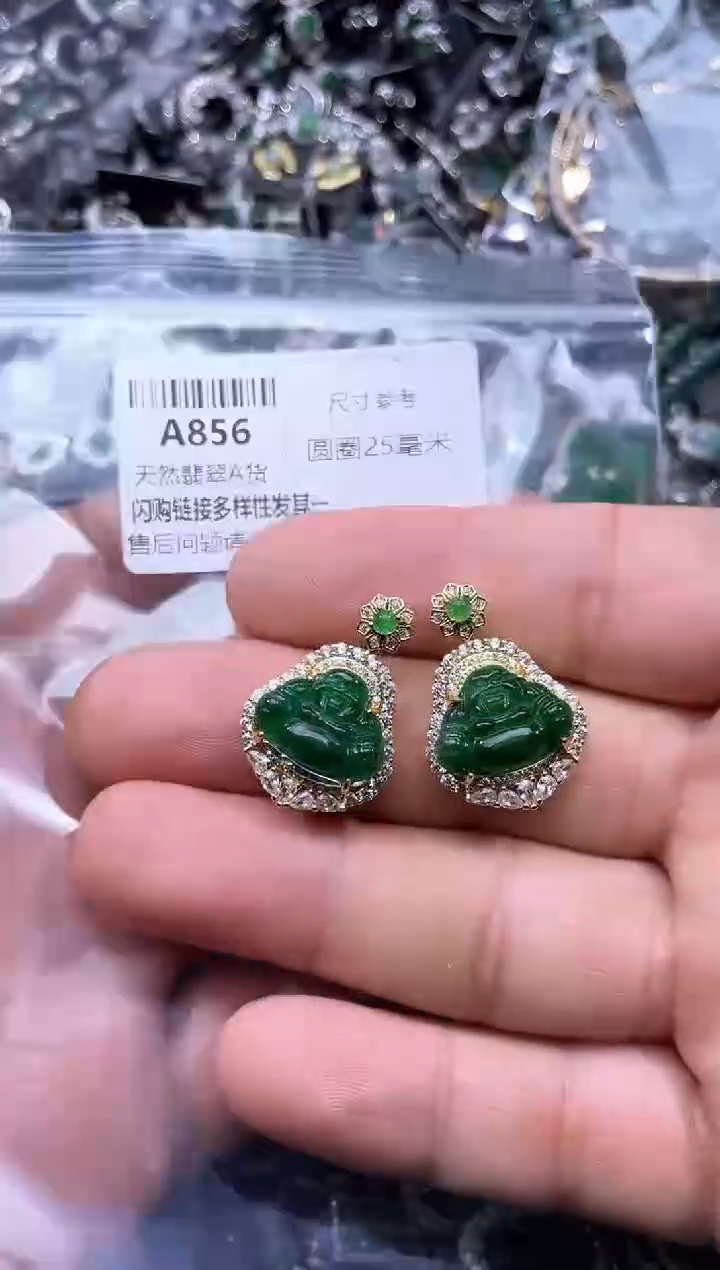 【闪购商品】翡翠颈饰未镶嵌A856多样性发其一