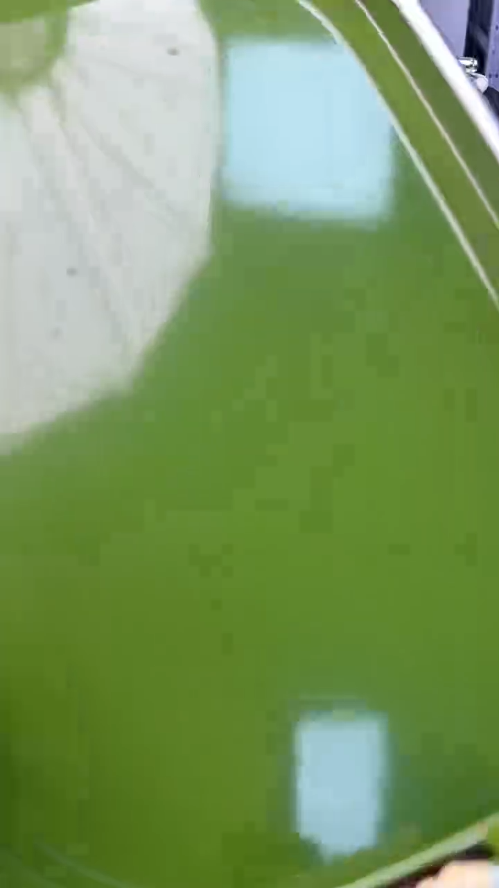 【闪购商品】瓷片PZ炎美杂货铺质量保证