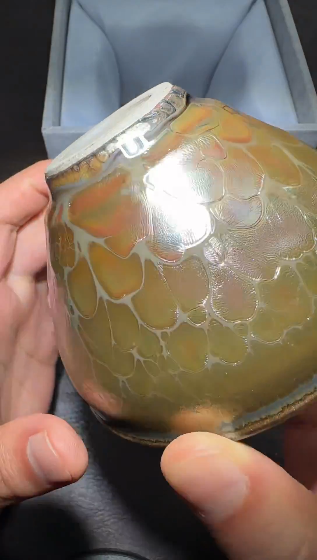 茶盏179号李永辉龙葵