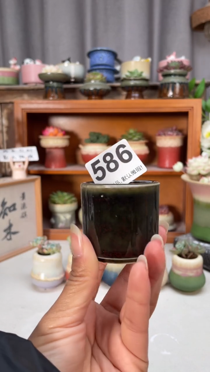 瓷片586小芳直播编号