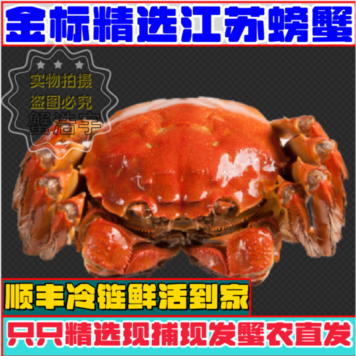 【金标活蟹】全母蟹8只装10只装㍚5-㍛0两洪泽湖螃蟹顺丰包邮礼盒装