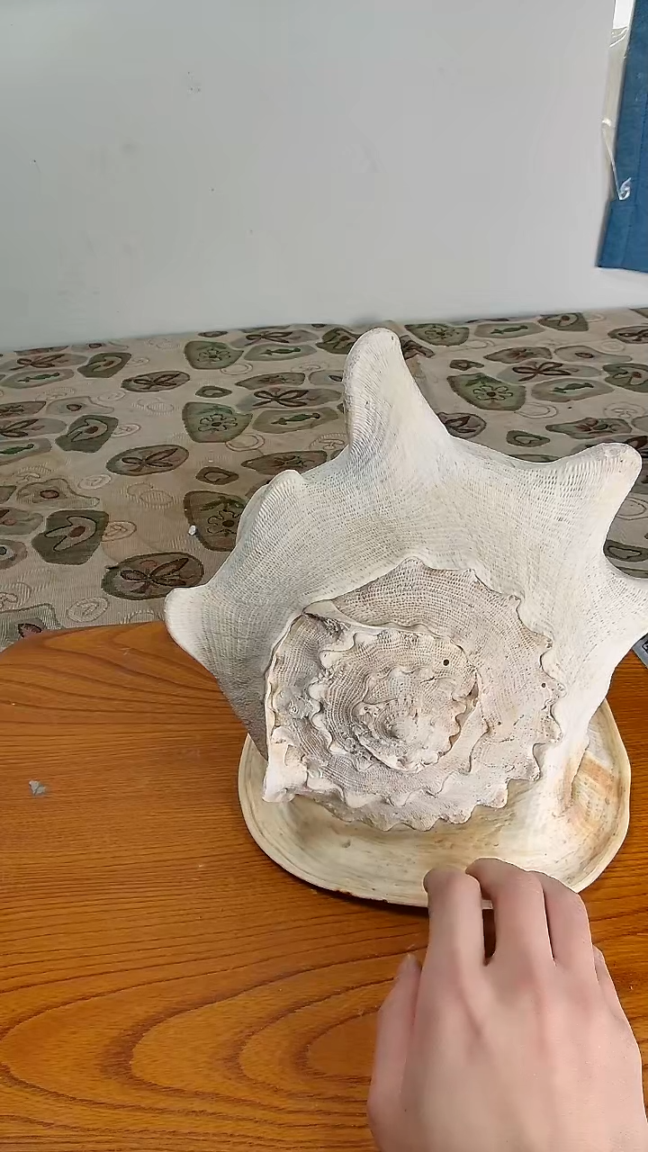 瓷片9***哥小淼海外陶瓷工艺品