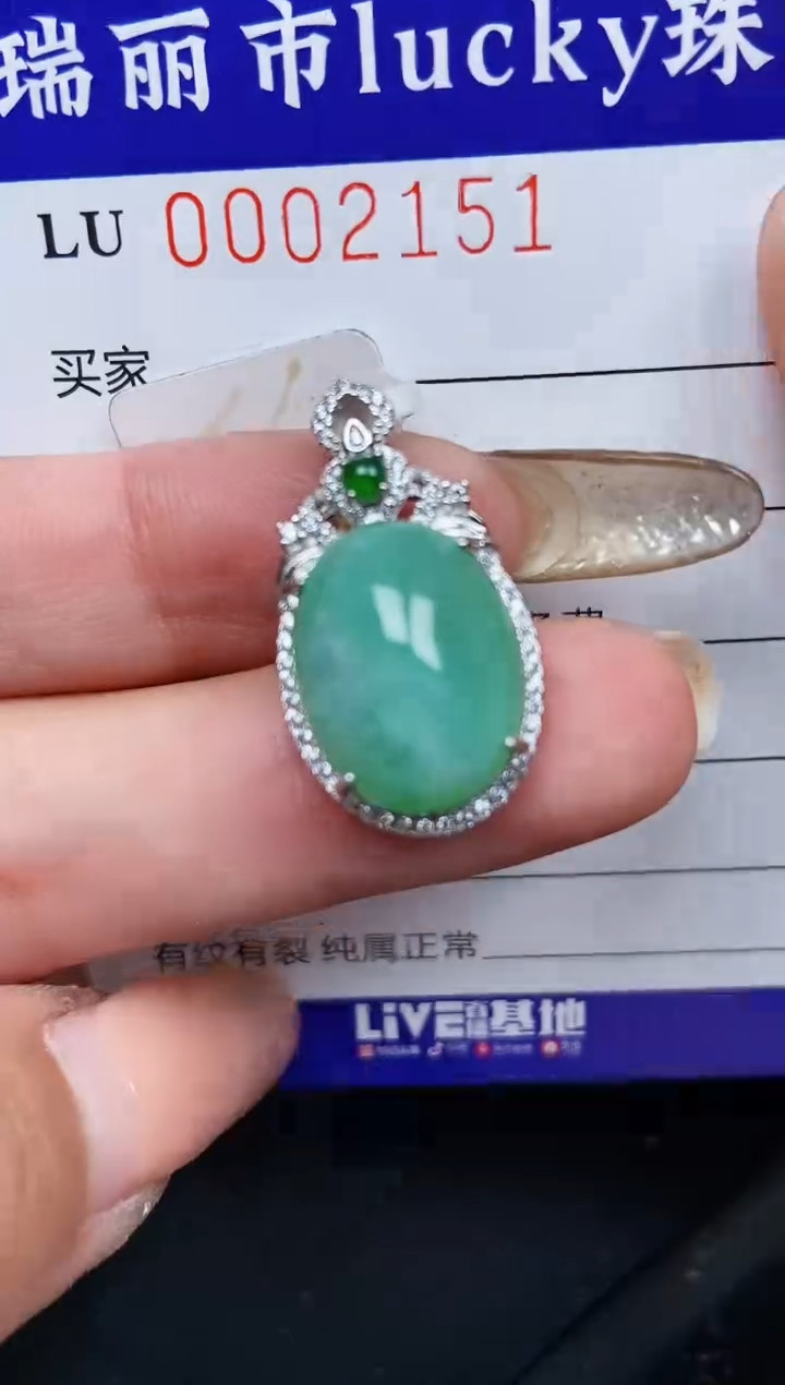 【闪购商品】翡翠颈饰银S925镶嵌2151