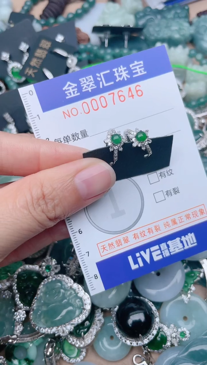 翡翠未镶嵌颈饰7646.........1