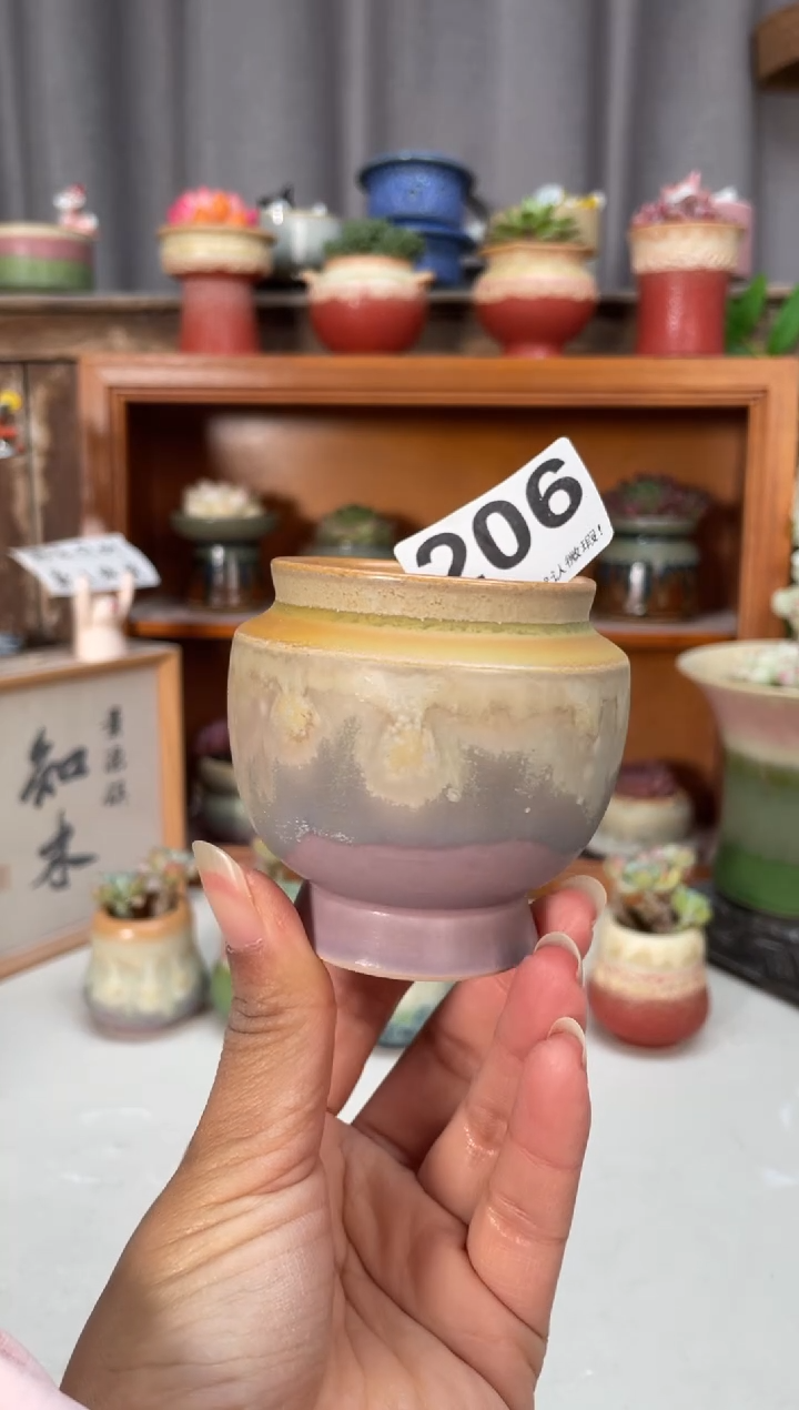 瓷片206小芳直播编号