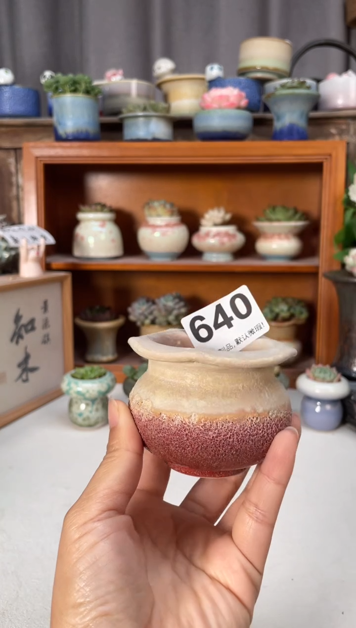 瓷片640知木小芳花盆