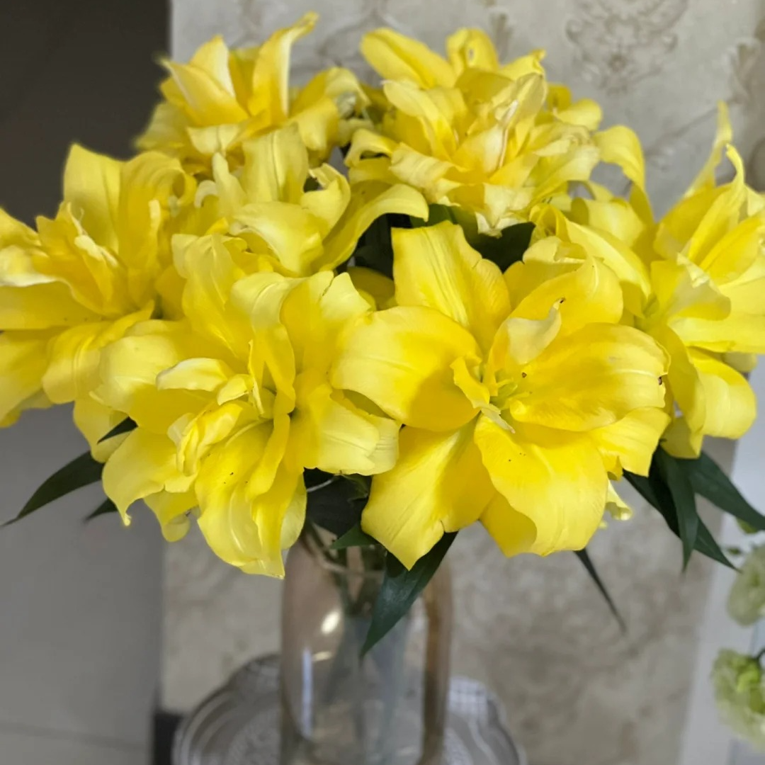 【源头优选】异国阳光重瓣百合 任意2单鲜花包邮 发货后不支持退款