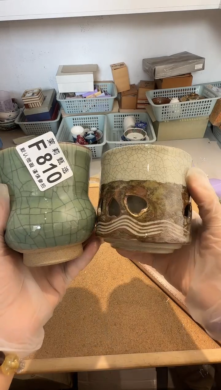 瓷片王*茉莉甄选一号商品810