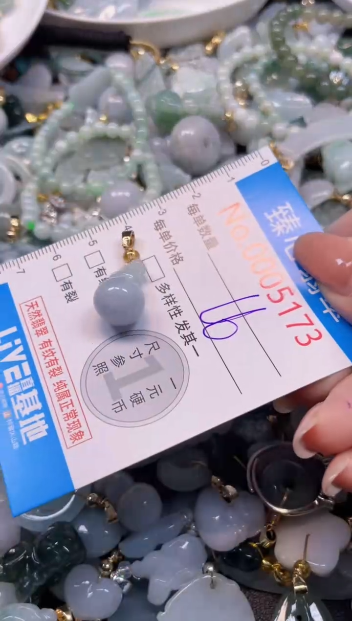 颈饰未镶嵌翡翠5173