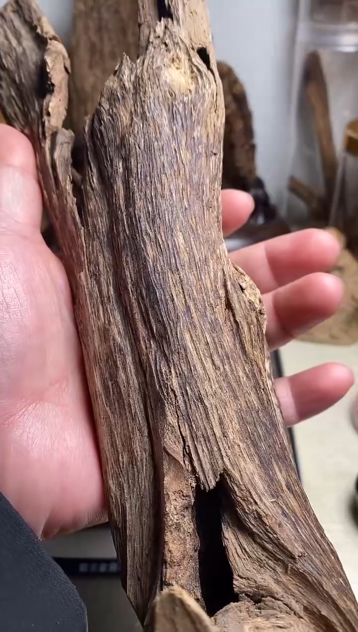 【闪购商品】沉香手把件海南沉香虫漏料137克