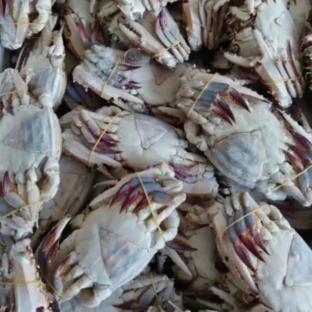 【冻蟹】舟山小娘蟹，一箱6.5斤 2-3两/只