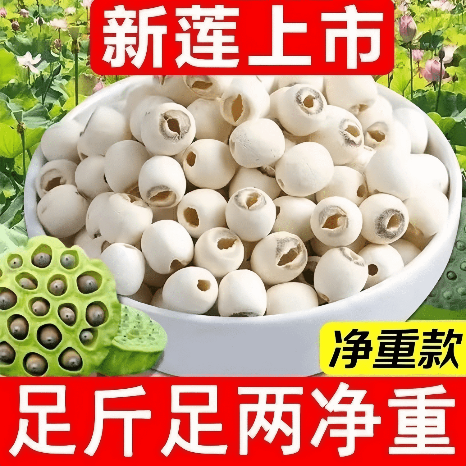 湖南正宗去芯白莲子干货颗粒饱满营养丰富新鲜新货