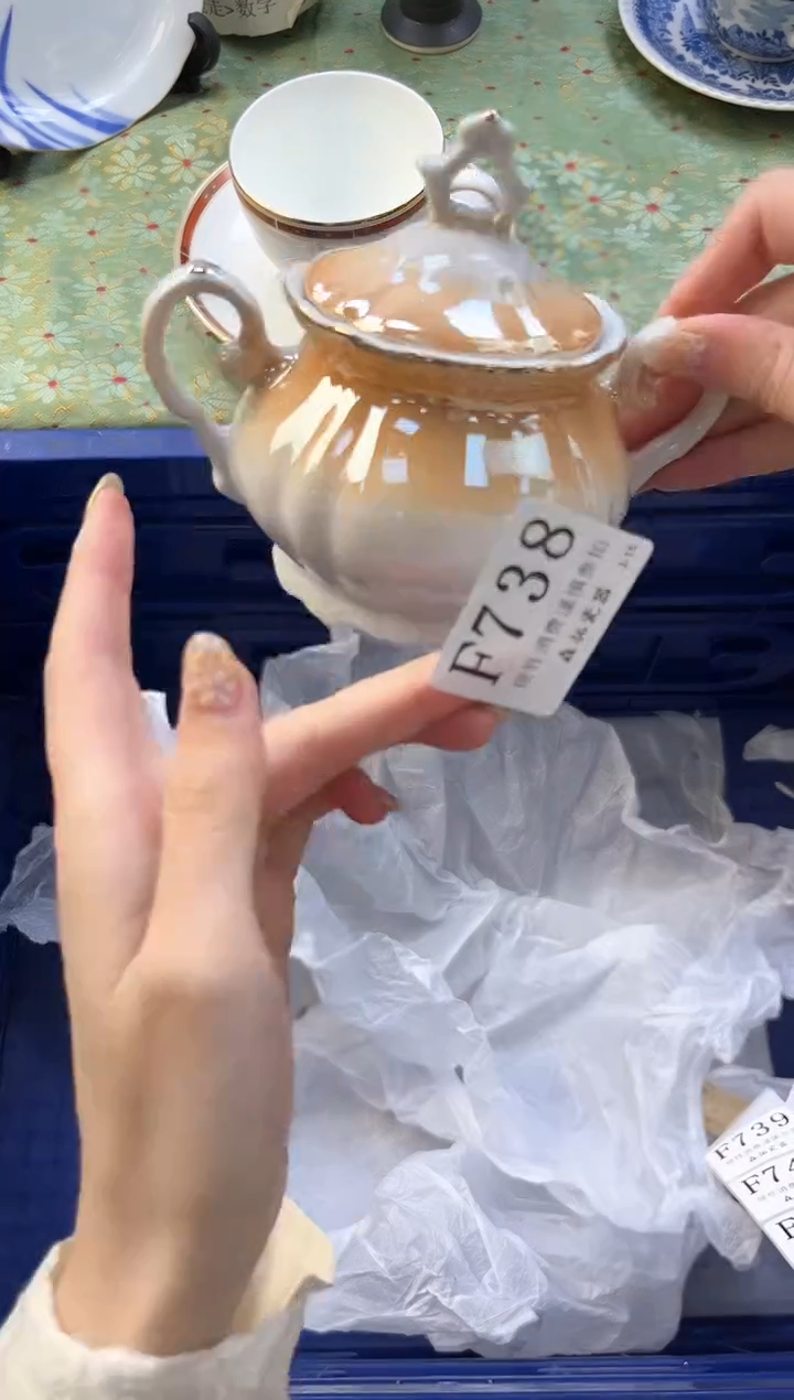 【闪购商品】瓷片          F738