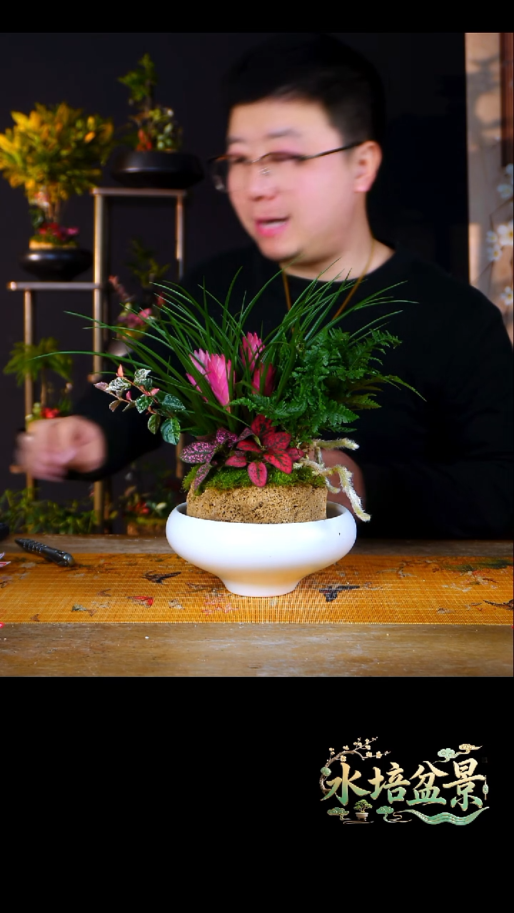 石云社一物一拍组合盆栽14