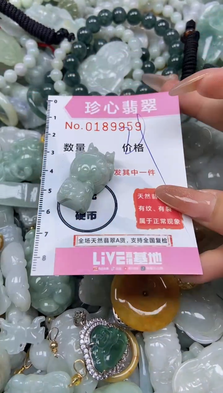 翡翠未镶嵌颈饰闪购链接0189959